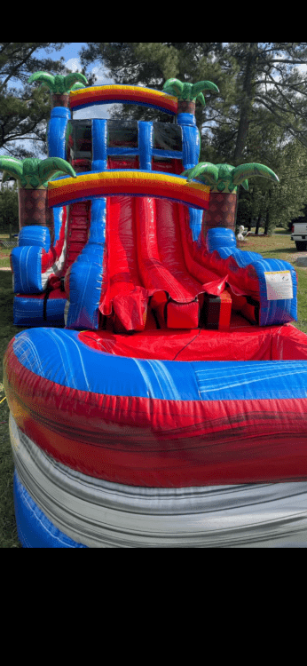 18 Foot Tropical duel lane Water Slide