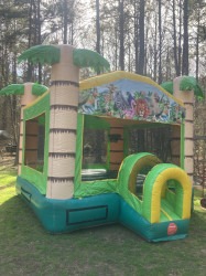 IMG 2443 1711017817 big 1757428032 Tropical Bounce House