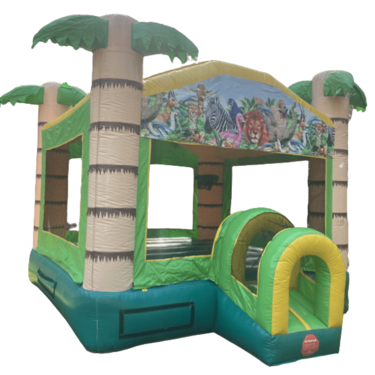 Bounce House Rentals